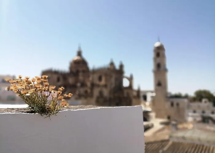 Bellas Artes Catedral Jerez de la Frontera
