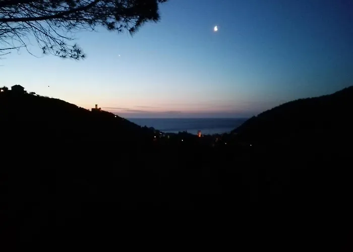Bella Luminella