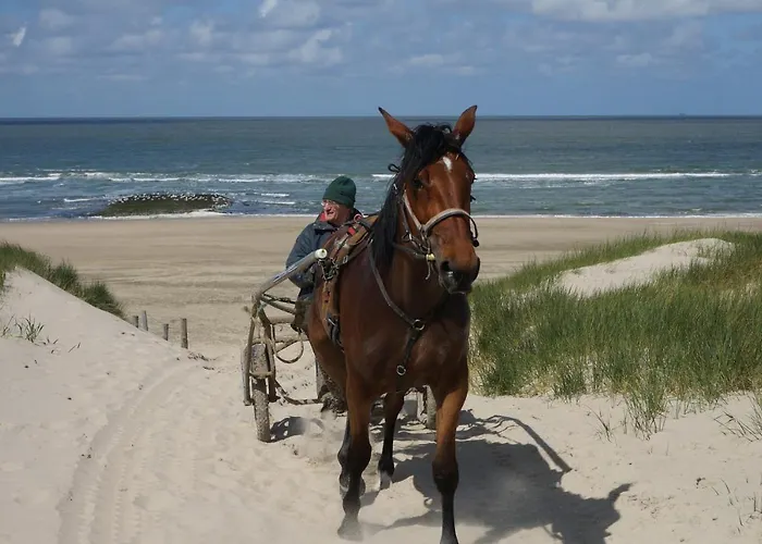 Bed & Breakfast Aan Zee