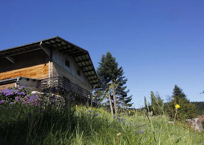 Le chalet de Valentine