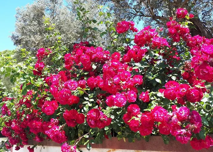 Monte Da Floresta B&B