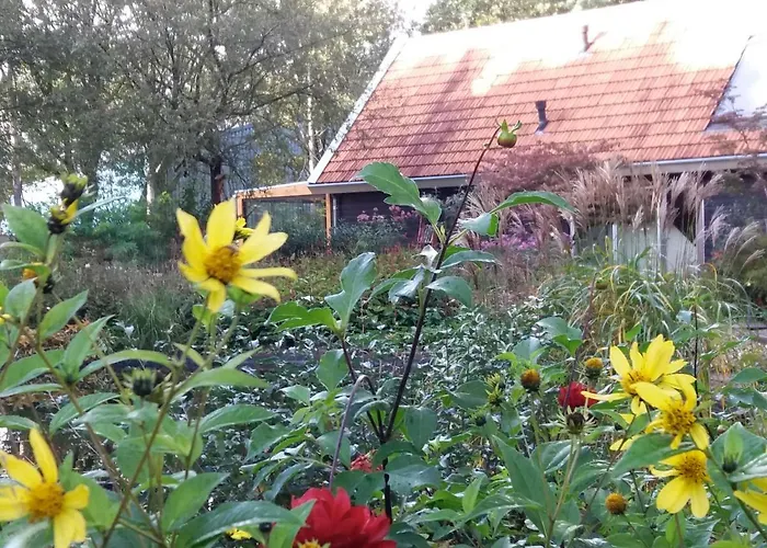 B&B Immer Met Moed Vledder