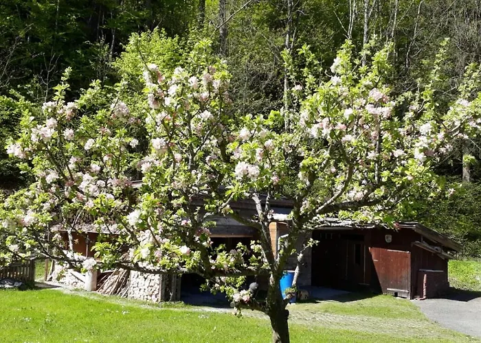 Gästehaus Kurparkfrieden Mittenwald