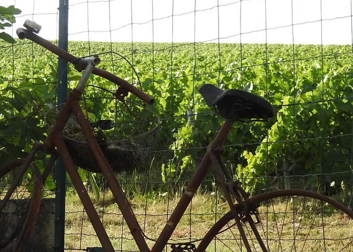 Au Coeur Des Vignes