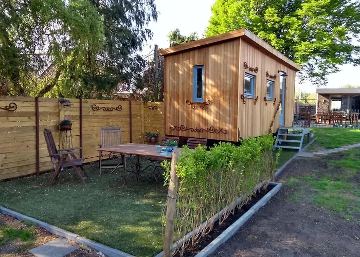 B&B Dream On Wheels