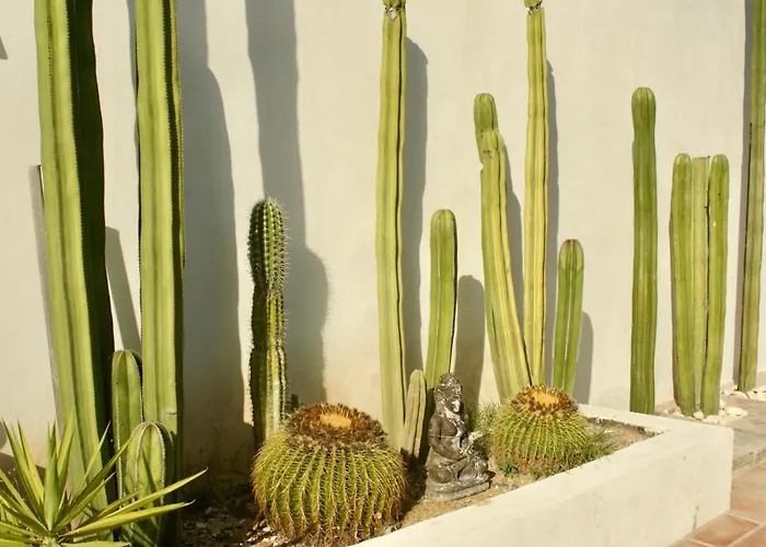 Finca Mil Estrellas