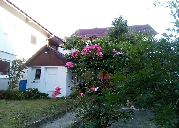 Hotel Gasthaus Adler Sinsheim