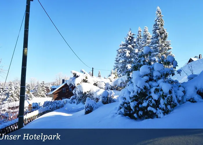 Erzgebirgshotel Misnia Bärenfels Altenberg 