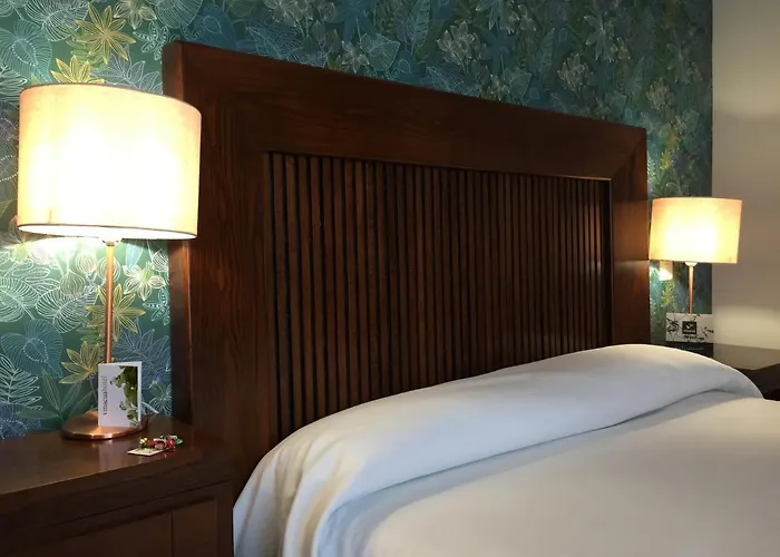 Hotel Vinacua Sos del Rey Católico