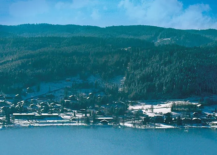 Laptitevosgienne Vue Lac A Gerardmer !