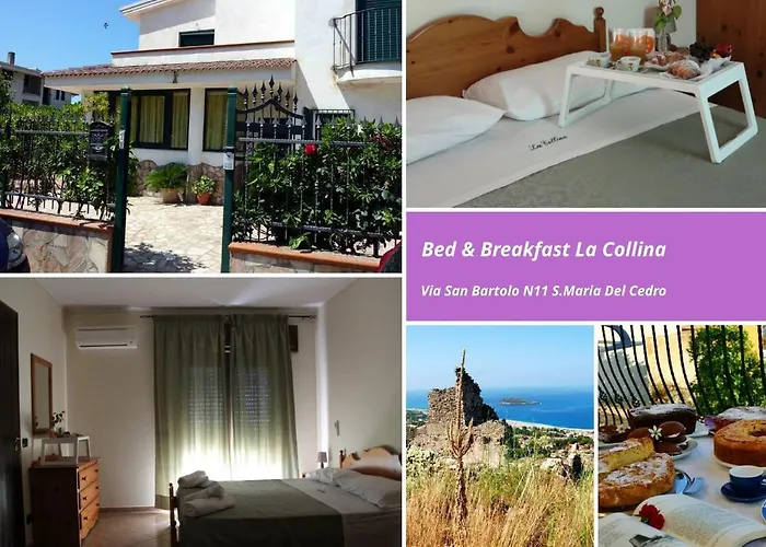 Bed and Breakfast La Collina Santa Maria Del Cedro