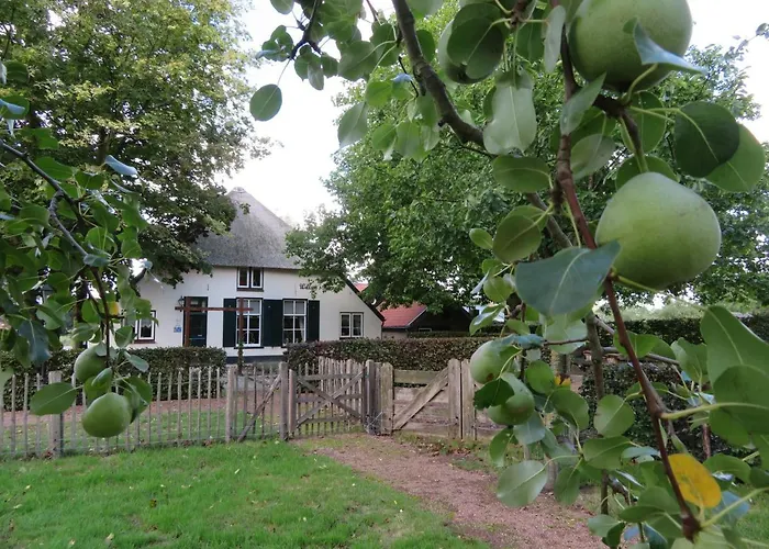 B&B De Willemshoeve Wageningen