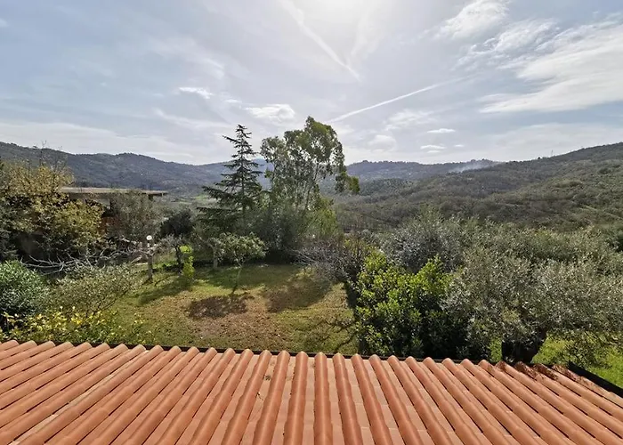 Bed & Breakfast Villa Flora