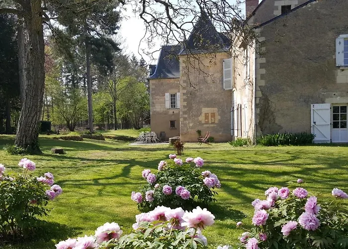 Bed and Breakfast Manoir du Bellay à Montreuil-Bellay