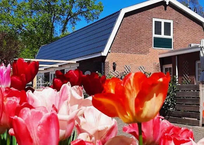 B&B De Hoffstal Sassenheim