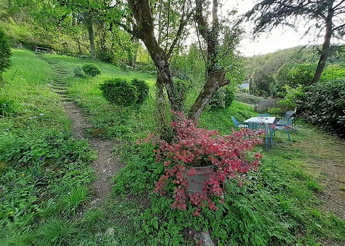 Charme et jardin cœur St Cirq - Appartements Saint-Cirq-Lapopie
