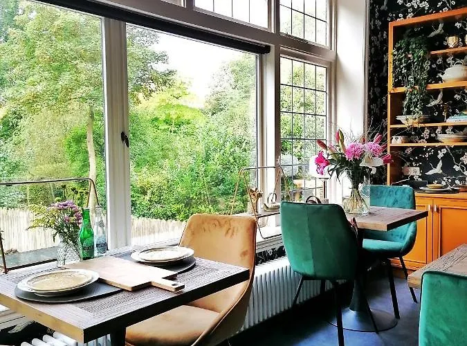 B&B De Stadssingel Steenwijk