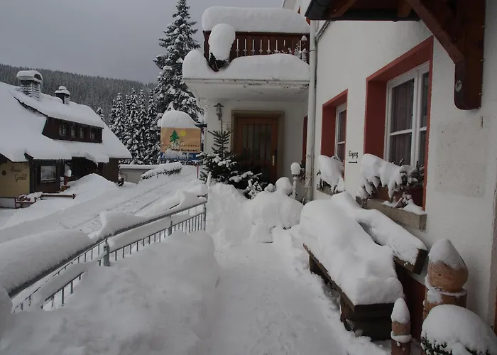 Haus Sommerberg Feldberg 
