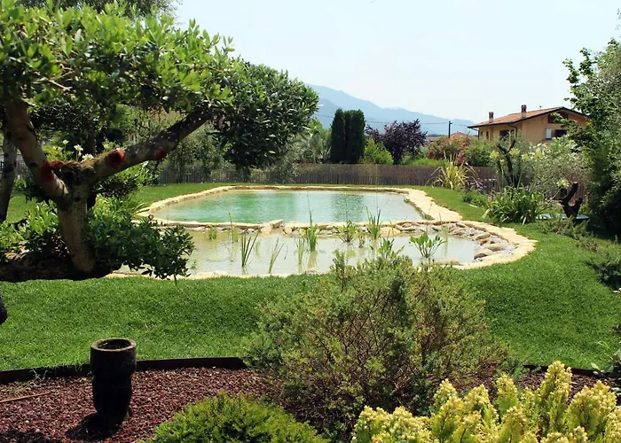Bed and Breakfast Le Ginestre Massa 