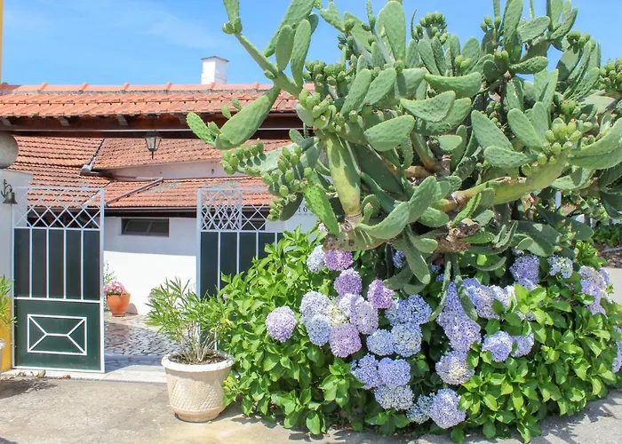 Quinta De Vale Escuro Hotel Lousã