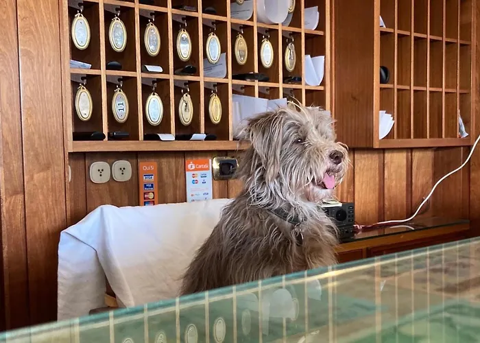Hotel Ping Pong Lido di Ostia