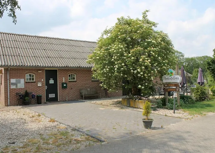 Horsetellerie Rheezerveen Hardenberg