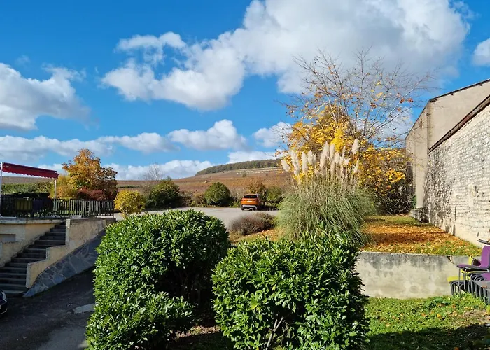 Logis Les Terrasses De Corton Hotel Ladoix-Serrigny