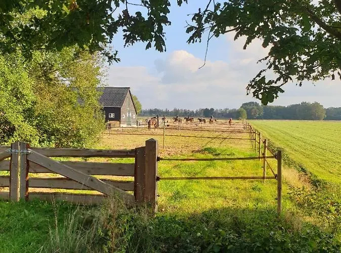 B&B de Berghoeve Ruinen