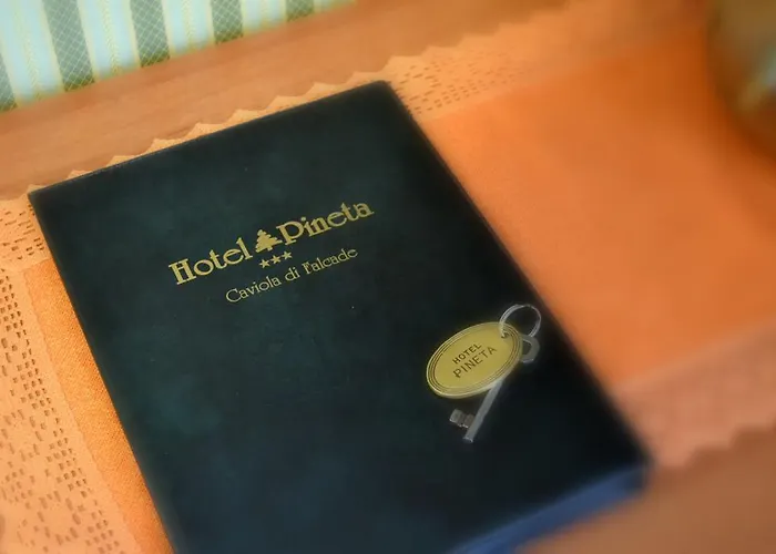 Hotel Pineta Falcade