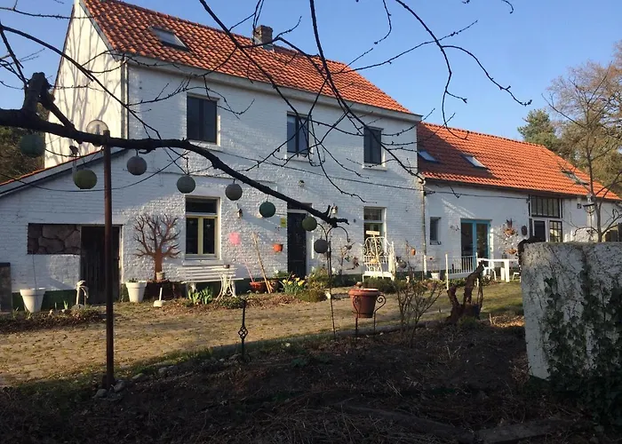 Slaaphuisje Het Vliegend Varken
