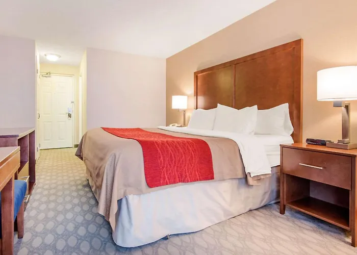 Comfort Inn Fallsview