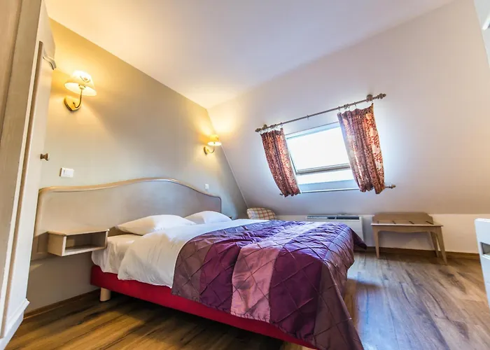 Hotel Au Lion Ribeauvillé