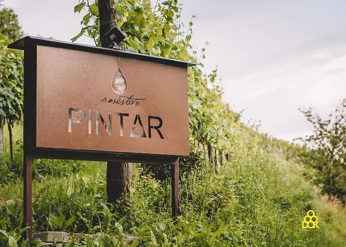 Valentina Guest House At Pintar Wine Estate