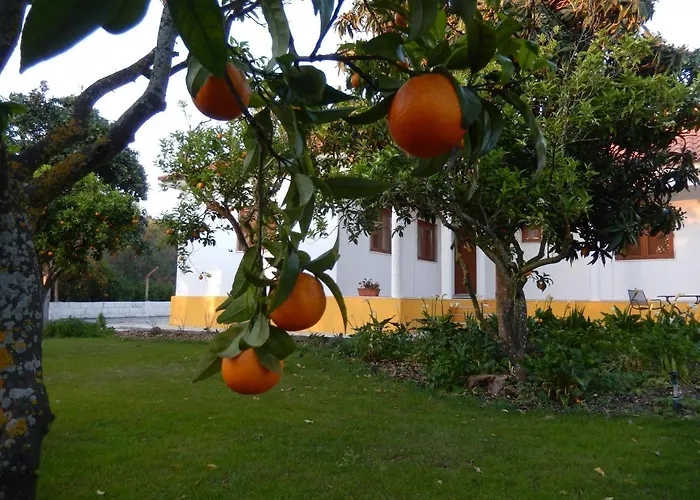 Quinta Laranjal Da Arrabida Acomodação com café da manhã Palmela