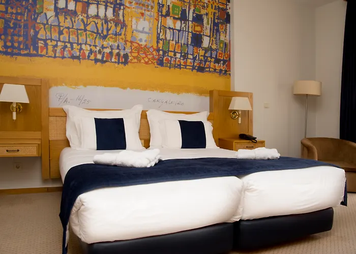 Hotel Rainha D. Amelia, Arts & Leisure Castelo Branco 