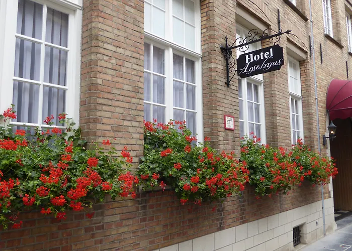 The Black Swan Hotel Brujas