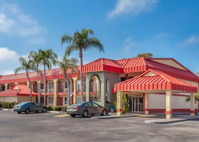 Super 8 By Wyndham Clearwater/Us Hwy 19 N Motel