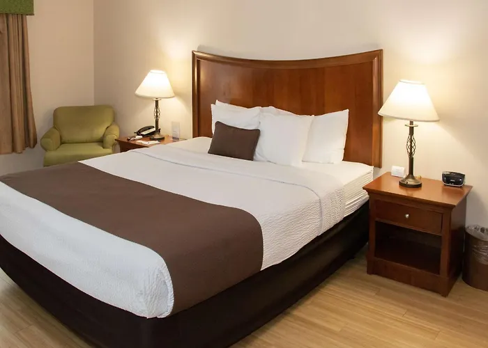 Best Western I-5 Inn & Suites Lodi