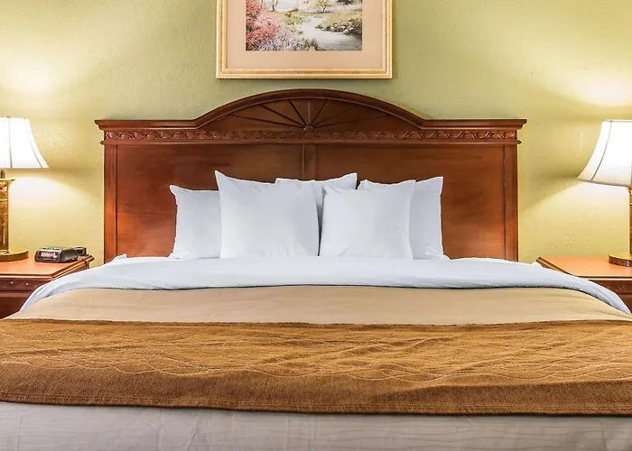 Quality Inn & Suites Ann Arbor Hwy 23