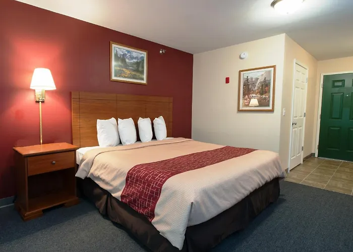 Red Roof Inn & Suites Dickinson