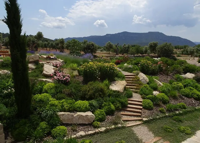 Hotel Mas De La Costa Valderrobres