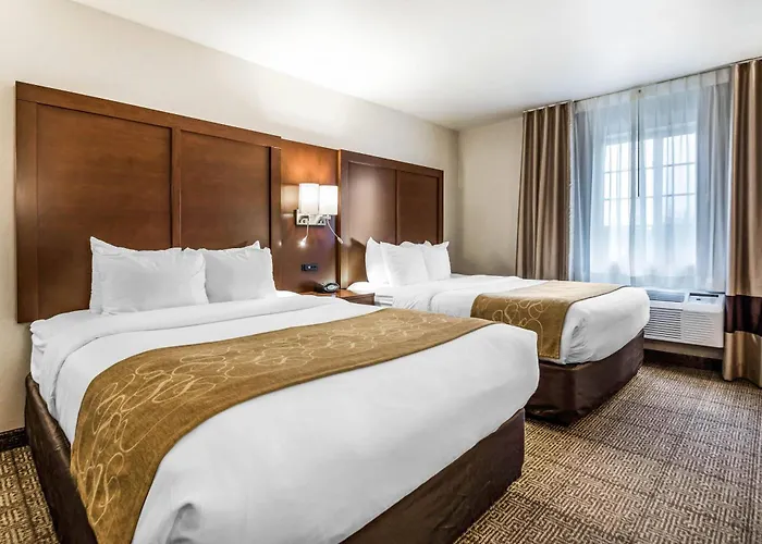 Comfort Suites At Par 4 Resort