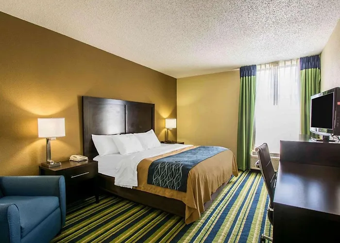 Comfort Inn & Suites Lantana - West Palm Beach South