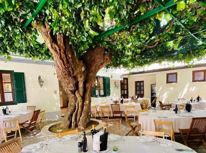 Antica Locanda al Gelso Monfalcone