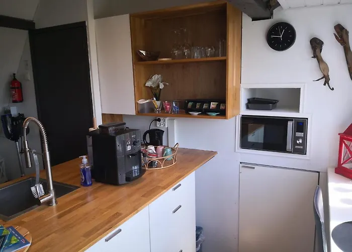 WitteZwaan Bed and Breakfast Harlingen