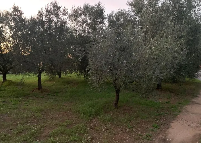 Casa nel verde Orbetello