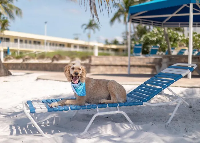The Neptune Resort Fort Myers