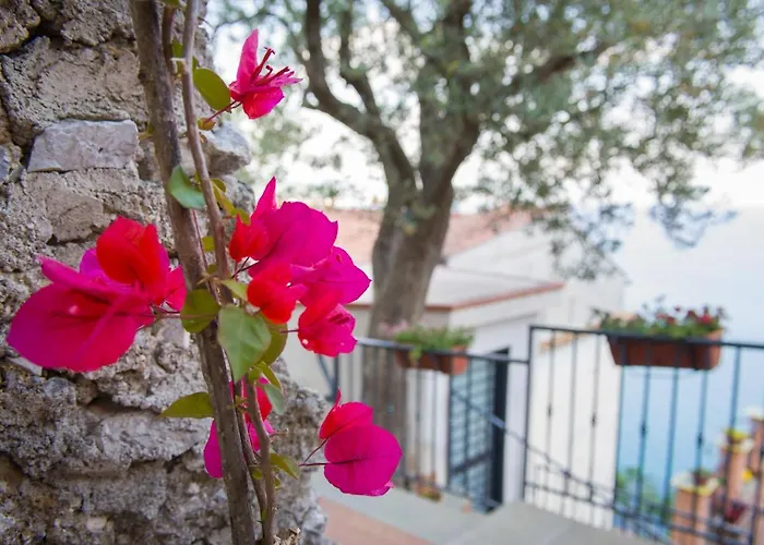 Bed and Breakfast Il Glicine Cetara