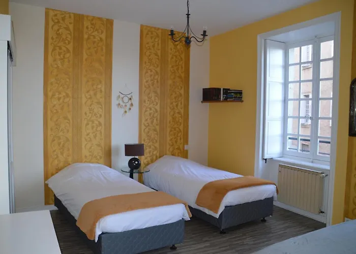 Maison au Loup - Superbe ancien hotel particulier du XVIe siècle au cœur de la vieille ville du Puy Le Puy-en-Velay
