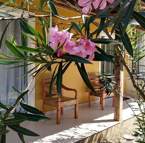 Aloha Itauna Saquarema